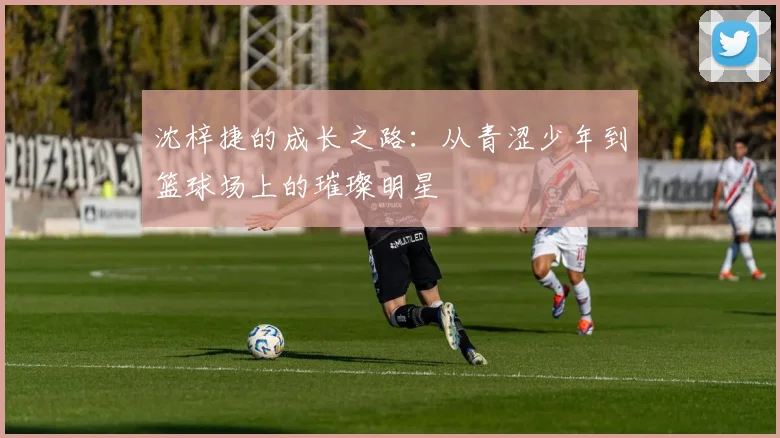 沈梓捷的成长之路：从青涩少年到篮球场上的璀璨明星