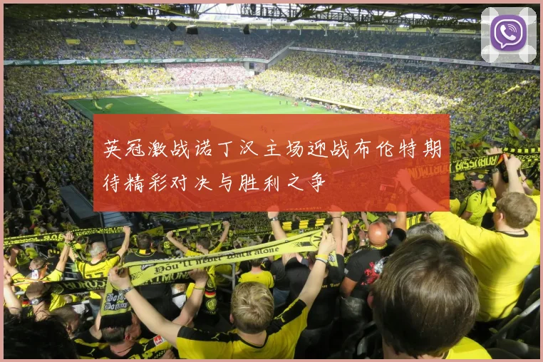 英冠激战诺丁汉主场迎战布伦特期待精彩对决与胜利之争