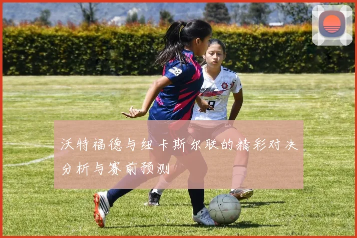 沃特福德与纽卡斯尔联的精彩对决分析与赛前预测