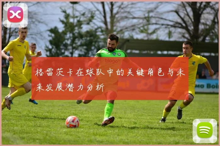 格雷茨卡在球队中的关键角色与未来发展潜力分析