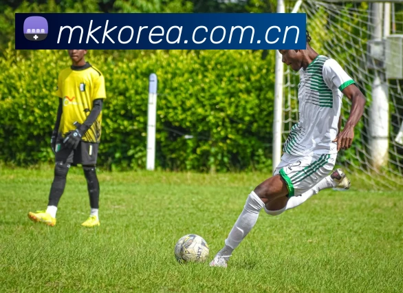 多媒体互动体验